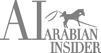 AI-Logo-200p